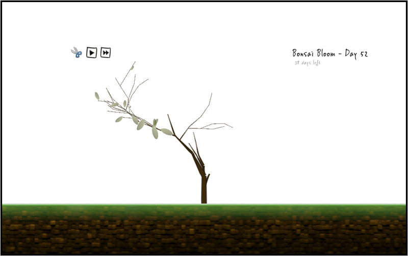 bonsai growing screen