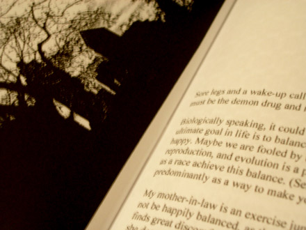 entangled zine cover