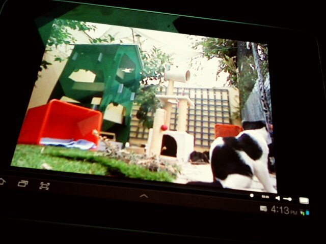 video feed works on android tablet