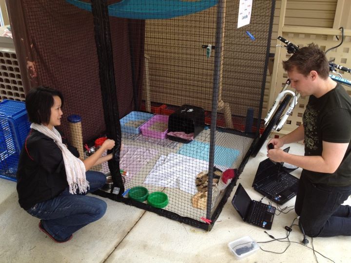 sandy and wob moving the camera