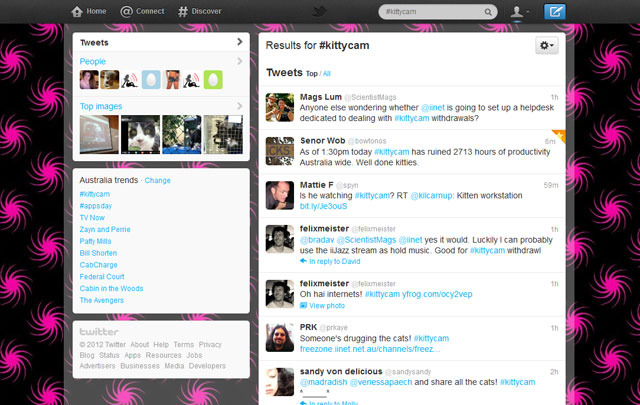 #kittycam trending on twitter
