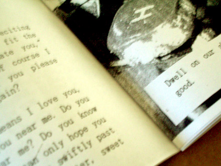 little venus zine spread