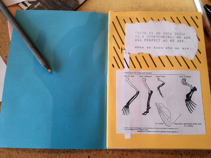 there is no such thing as a shortcoming: we are all perfect as we are... when we know who we are