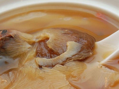 shark fin soup