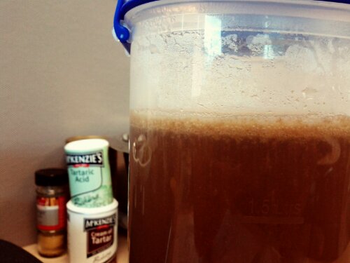 yeast-and-ginge.jpg Warm ginger beer mix ready to ferment