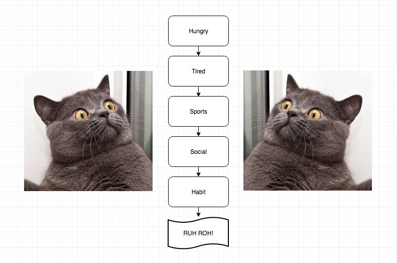 my mood testing flowchart: hungry, tired, sports, social, habit, RUH ROH!