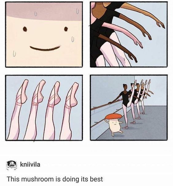 mushroom doing its best in a ballet class