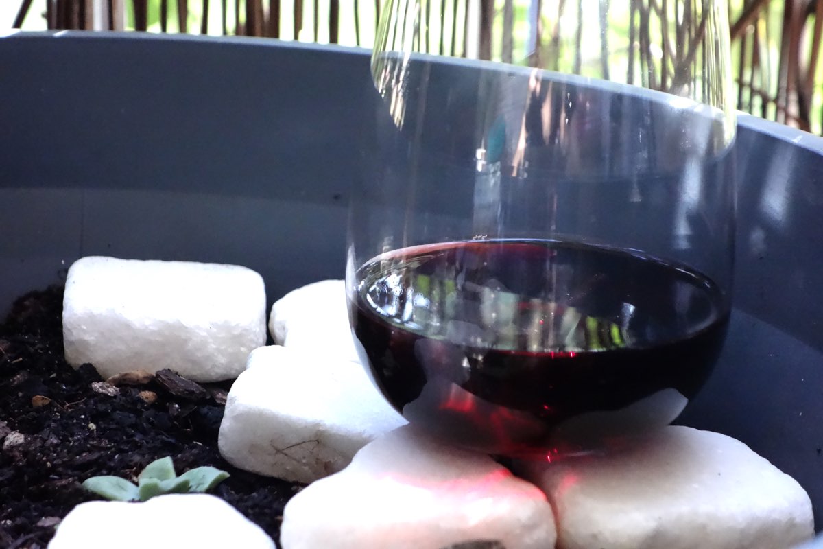 Aglianico red in a glass (with a reflection of my arm and watering can in the background).